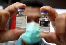 A Year Against the Pandemic 