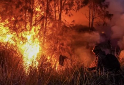 Karhutla Terus Membara, Ketimpangan Komunikasi Publik Pemerintah Masih Nyata