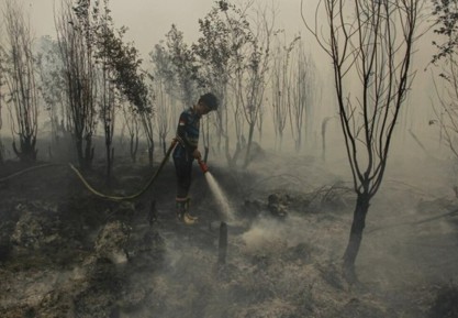 Akademisi Dorong Pemerintah Benahi Komunikasi Terkait Karhutla 