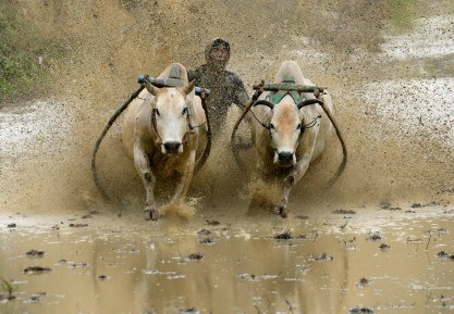 Ketika Indonesia Bicara Lewat Budaya, Olahraga, Kuliner, dan Panggung Dunia