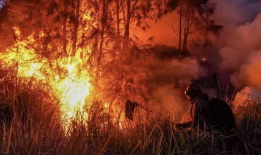 Karhutla Terus Membara, Ketimpangan Komunikasi Publik Pemerintah Masih Nyata