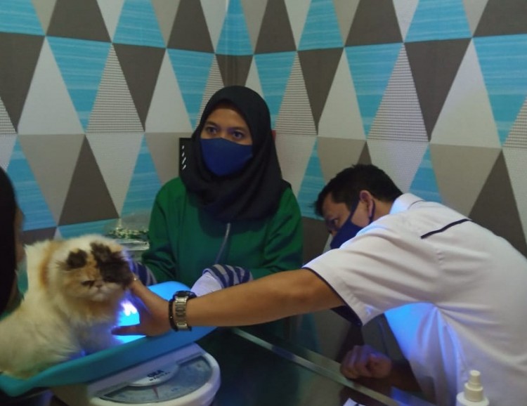 Hewan pun Berhak Sejahtera 
