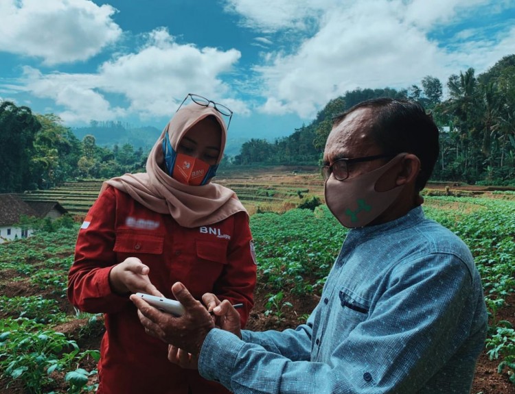 Uji Coba Smartfarming BNI Ditebar di 5 Provinsi