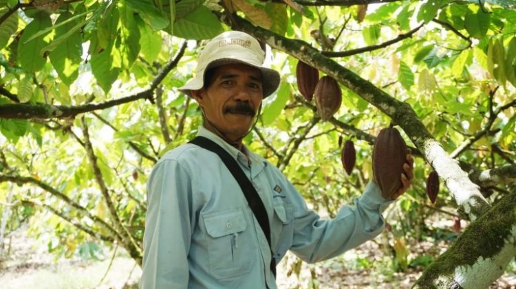 PR untuk Keberlanjutan: Transisi Pascatambang Lewat Bisnis Kakao