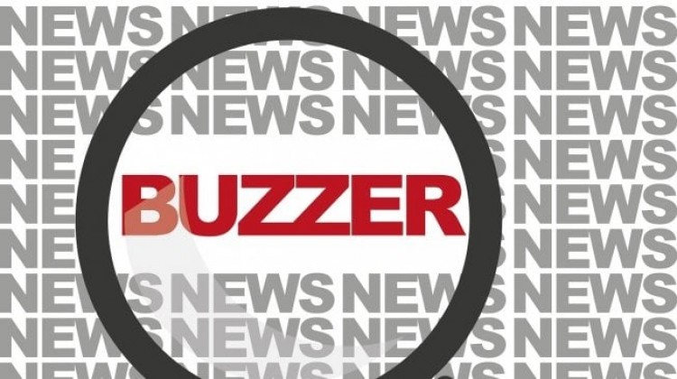 “Buzzer” Meningkat Jelang Pemilu, Pemerintah Diminta Tegas
